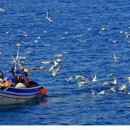 Apollonia 2* Masouri