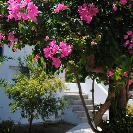 Aparthotel Apollonia