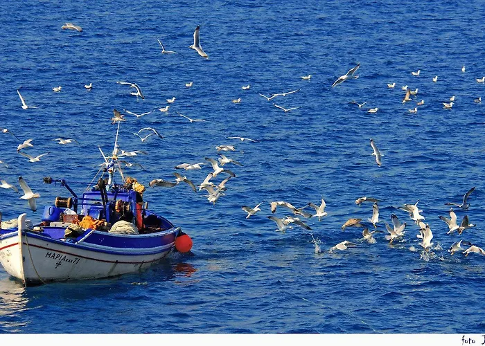 Apollonia 2* Masouri